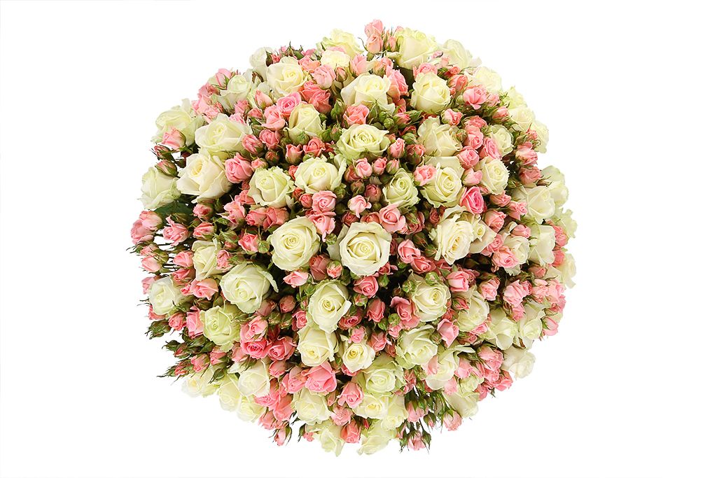 Заказать букет цветов с доставкой в москве недорого мосцветторг цена