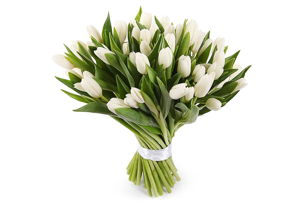 Букет 51 тюльпан, белые от СоюзЦветТорг
