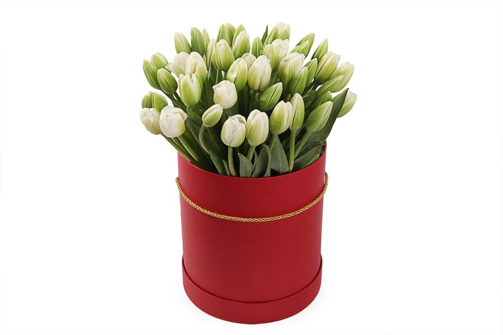 Букет 51 тюльпан в красной коробке, белые от СоюзЦветТорг