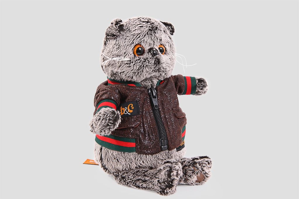

Кот Басик в кожаной куртке