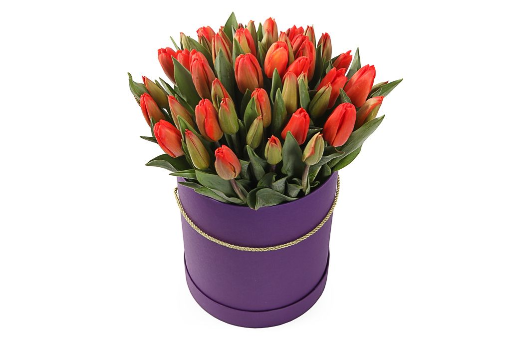 Букет 51 королевский тюльпан в коробке, красно-оранжевые от СоюзЦветТорг