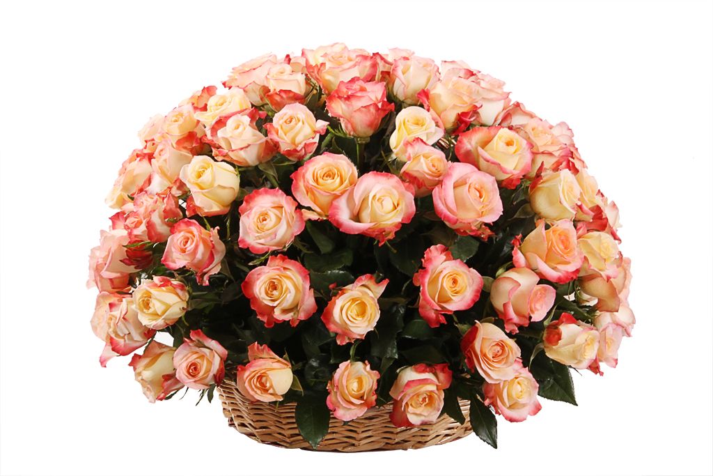 Букет 101 роза Кабаре в корзине от СоюзЦветТорг