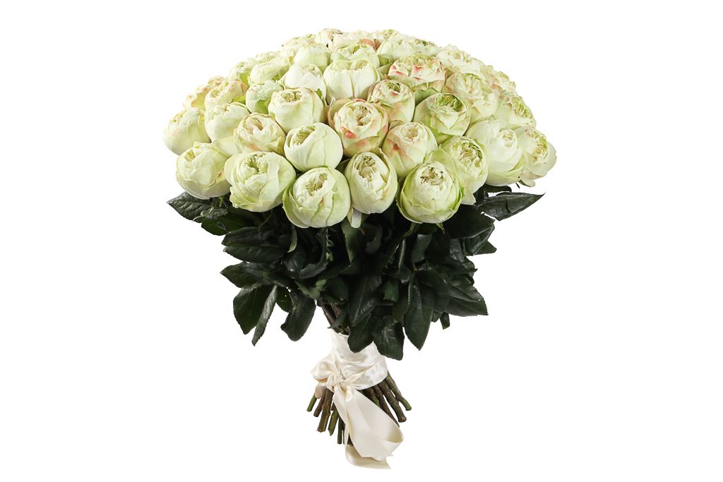 Букет 51 пионовидная роза Кахала (изумрудная) от СоюзЦветТорг