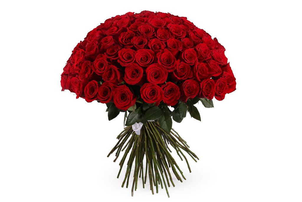 Букет 101 роза Фридом от СоюзЦветТорг