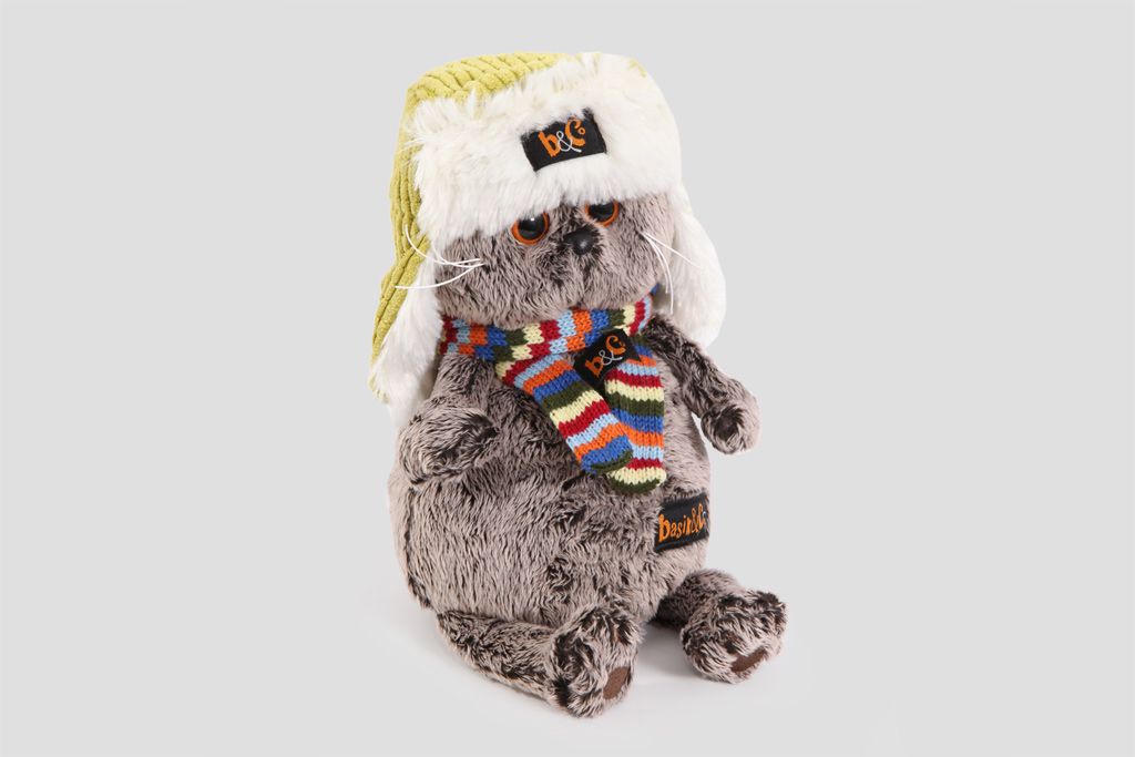 

Кот Басик в зимней шапке