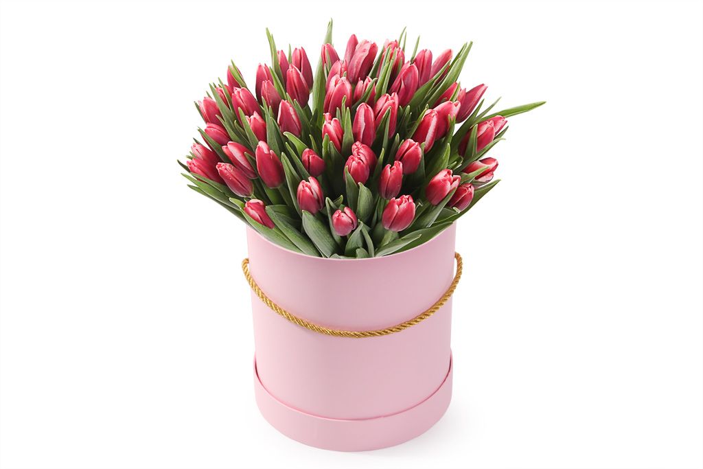 Букет 51 королевский тюльпан в розовой коробке, алые