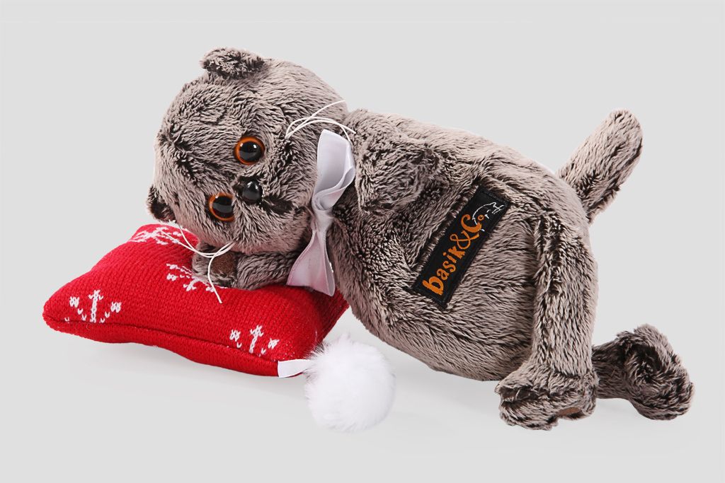 

Кот Басик на подушке