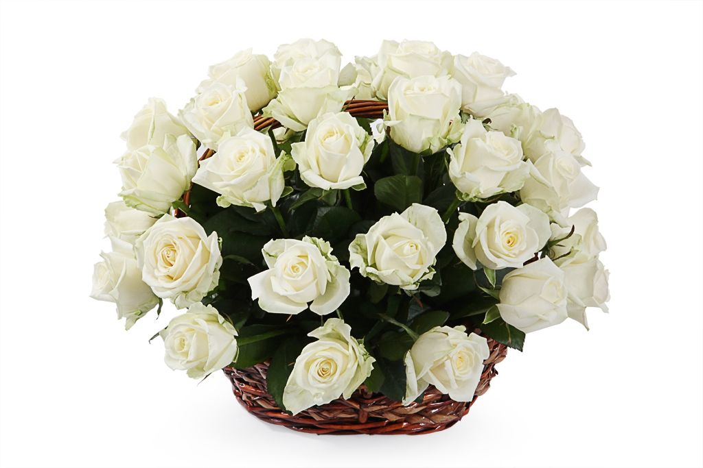 Букет 35 роз Аваланш в корзине от СоюзЦветТорг