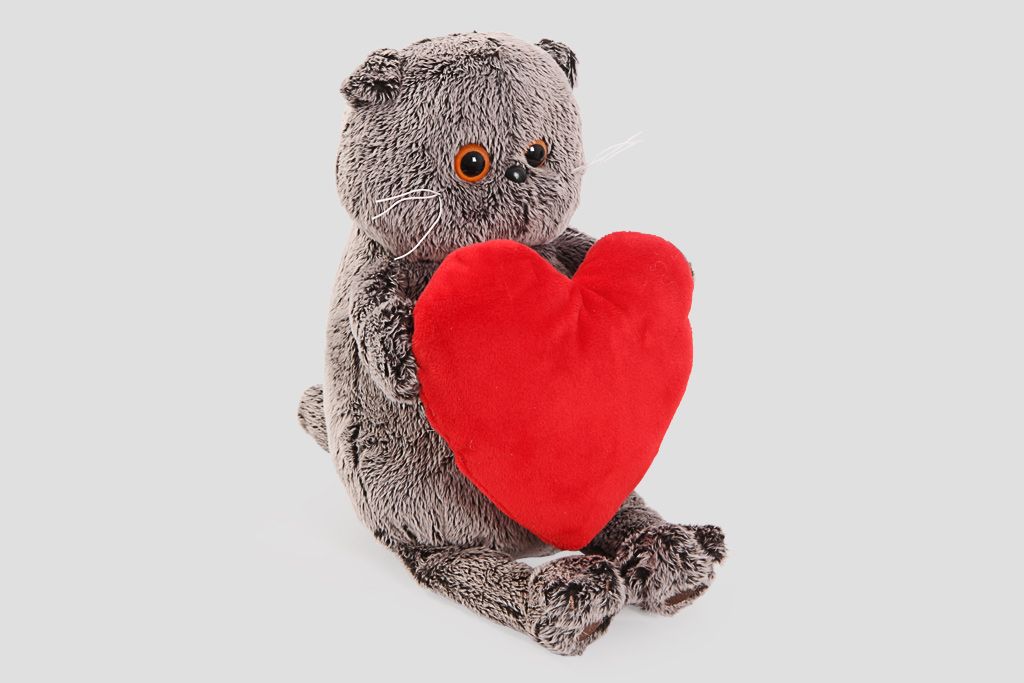 

Кот Басик с сердечком
