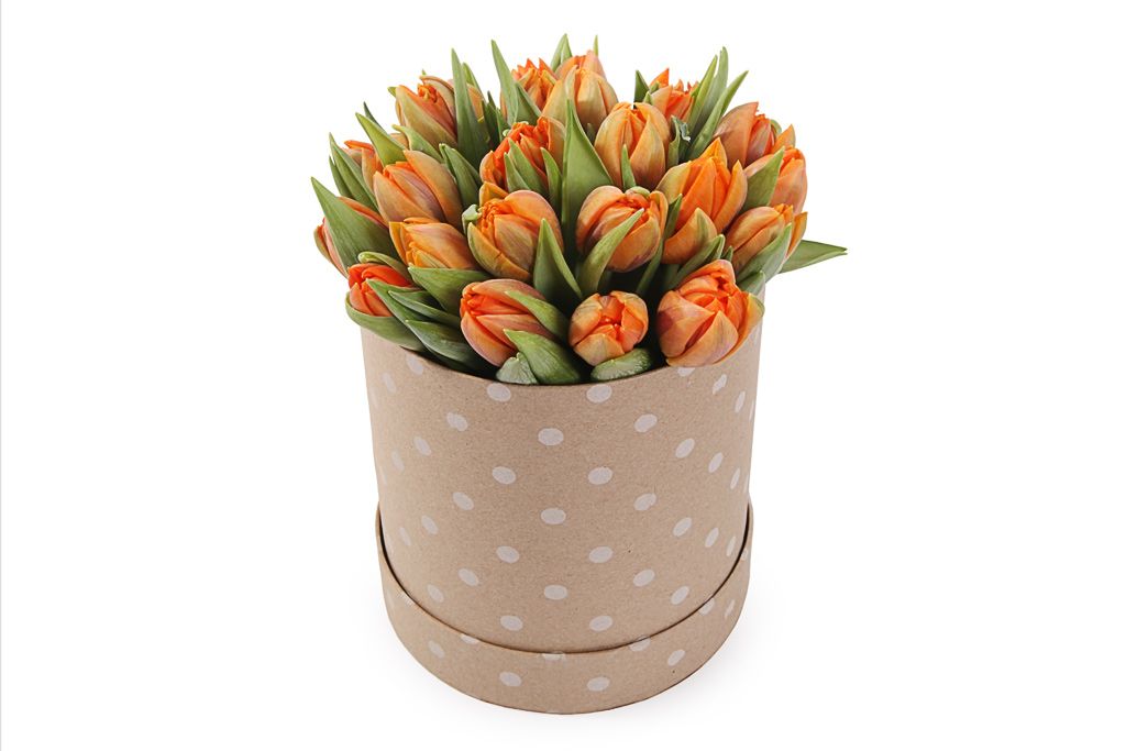 Букет 25 тюльпанов в коробке, оранжевые