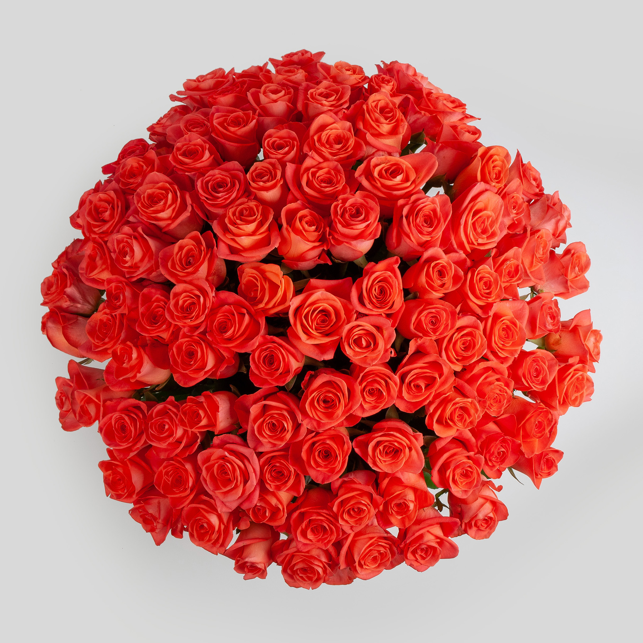 Купить Букет 101 Роза Саратов