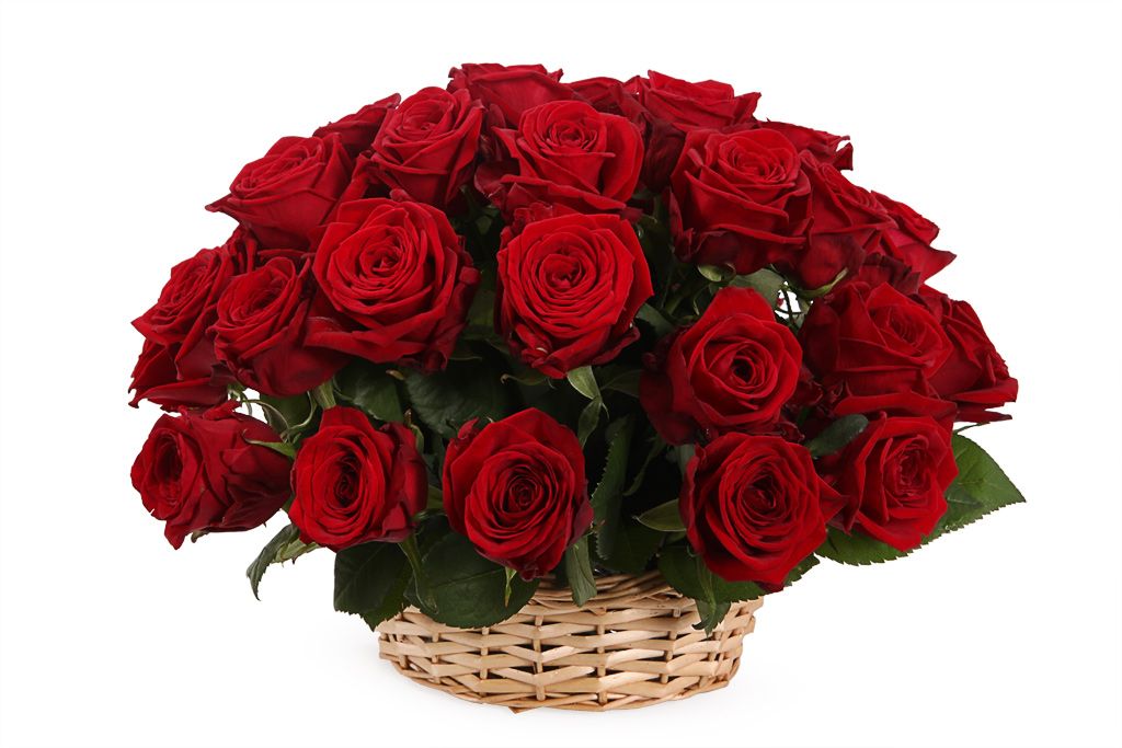 Букет 35 красных роз в корзине от СоюзЦветТорг