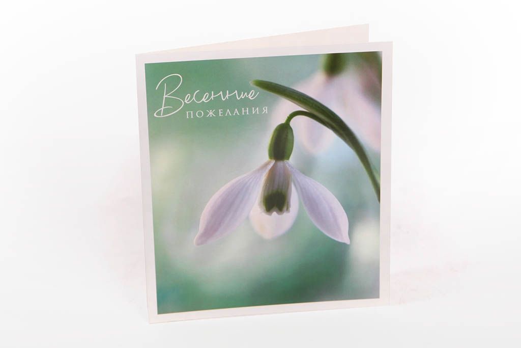 

Открытка "Весенние пожелания"