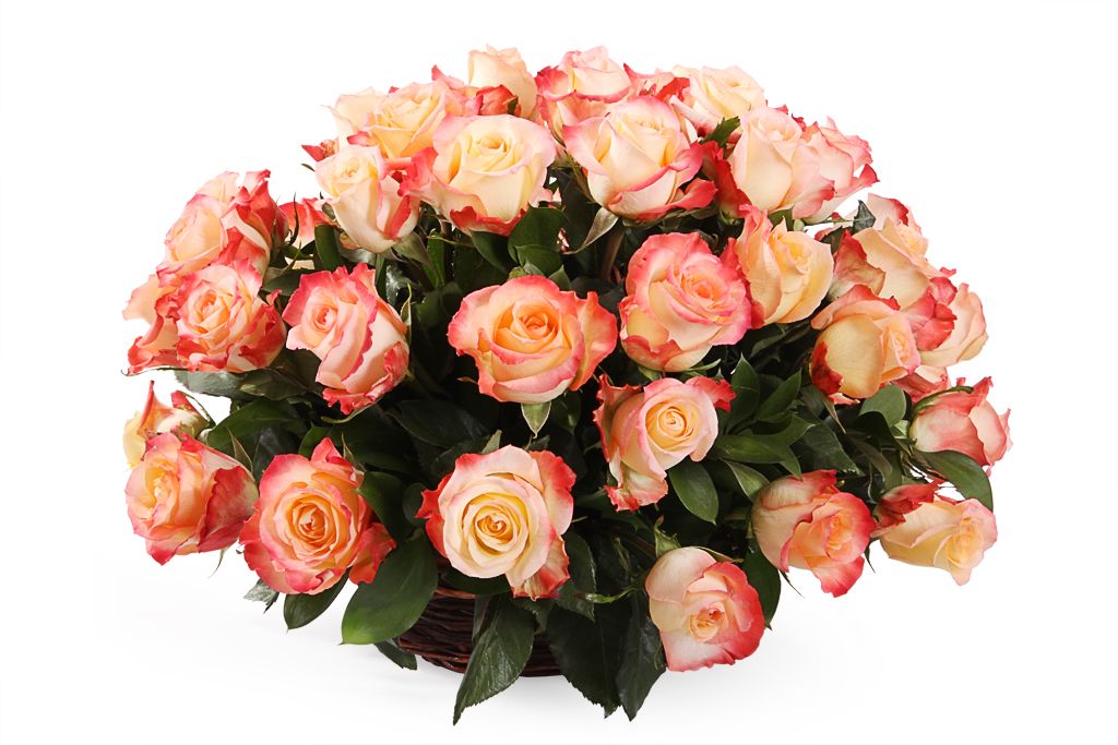 Букет 51 роза Кабаре в корзине от СоюзЦветТорг
