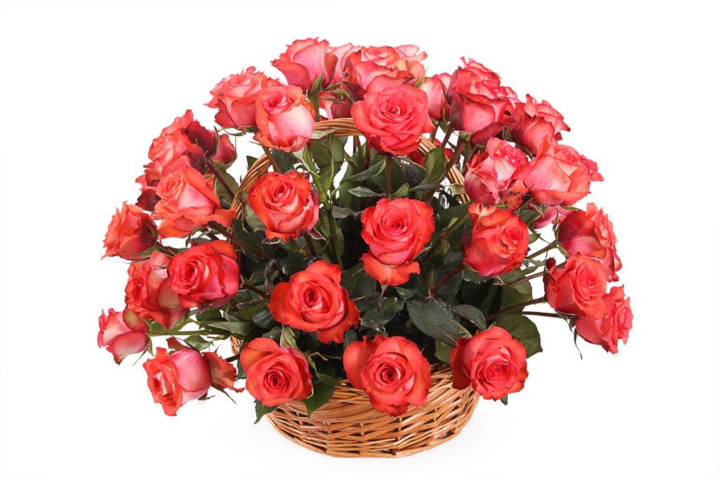 Букет 51 роза Игуана в корзине от СоюзЦветТорг