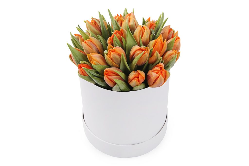 Букет 25 тюльпанов в белой коробке, оранжевые от СоюзЦветТорг