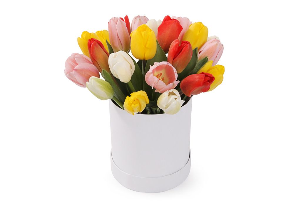 Букет 25 королевских тюльпанов в коробке, микс от СоюзЦветТорг