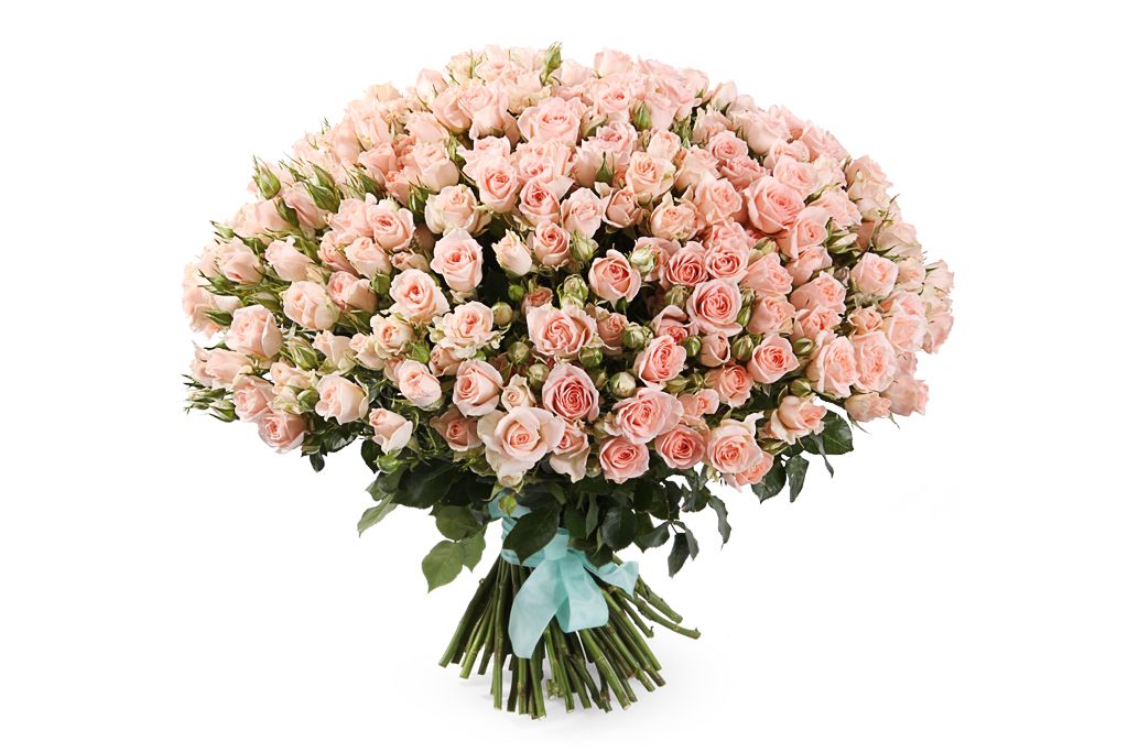 Букет 101 кустовая роза Свит Сара от СоюзЦветТорг