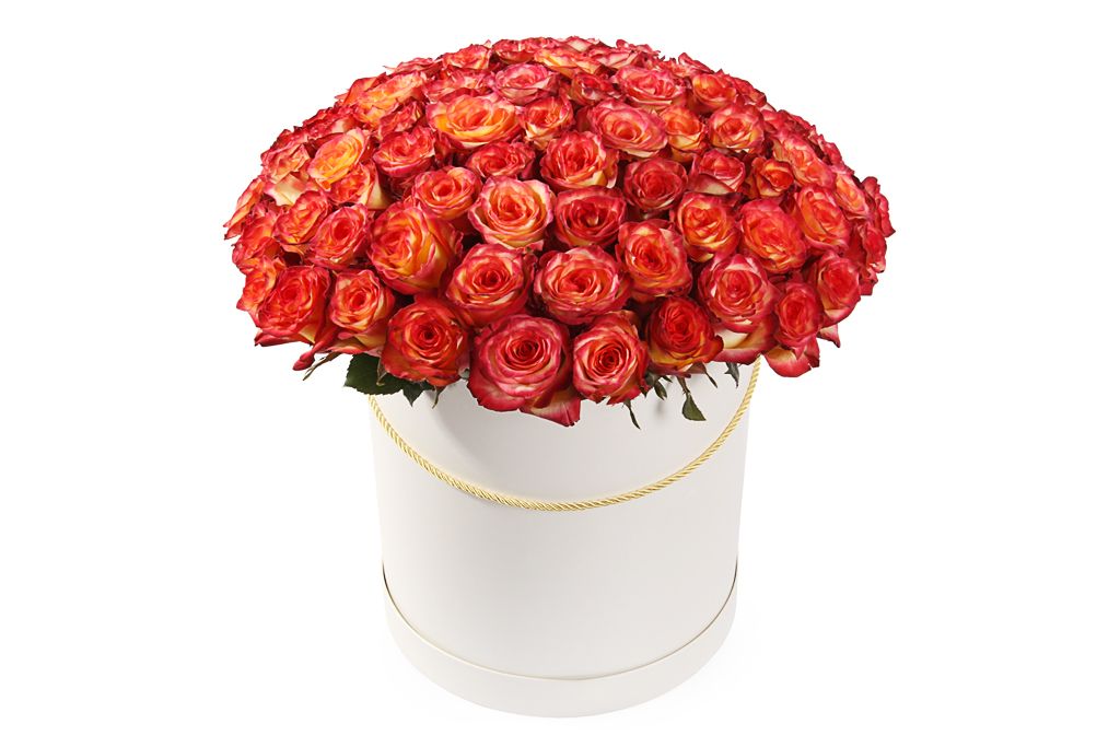 Букет 101 роза Хай Мэджик в шляпной коробке от СоюзЦветТорг