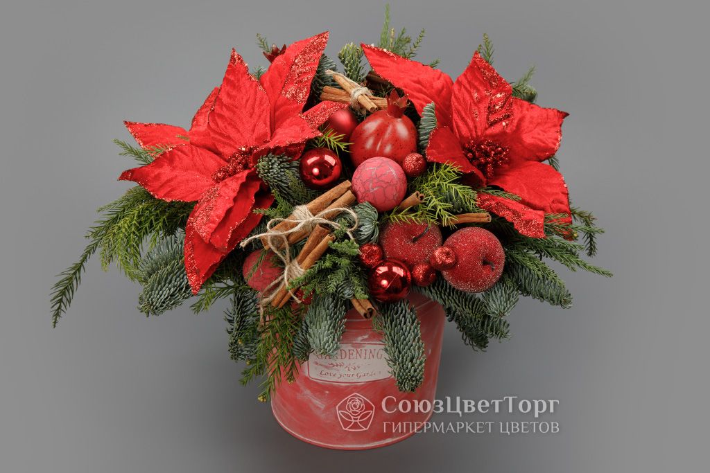 

Композиция в кашпо Мое первое чудо