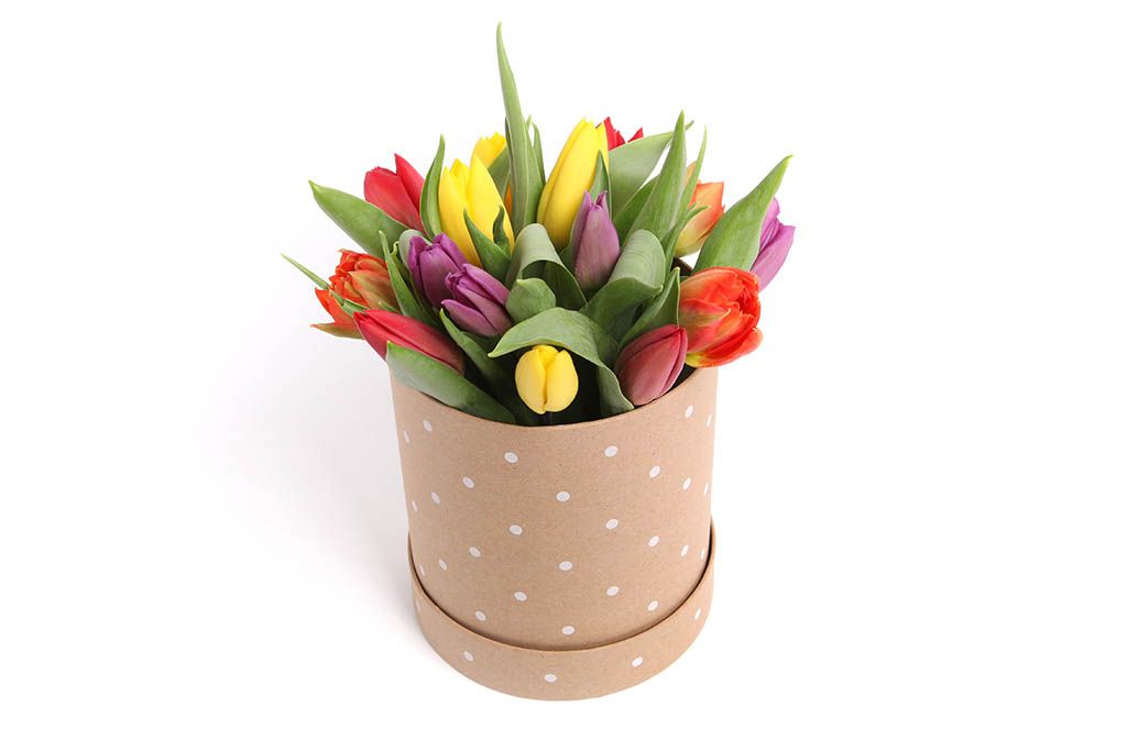 Букет 15 тюльпанов микс в шляпной коробке (горошек) от СоюзЦветТорг
