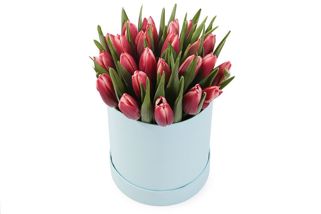 Букет 25 королевских тюльпанов в коробке, алые от СоюзЦветТорг
