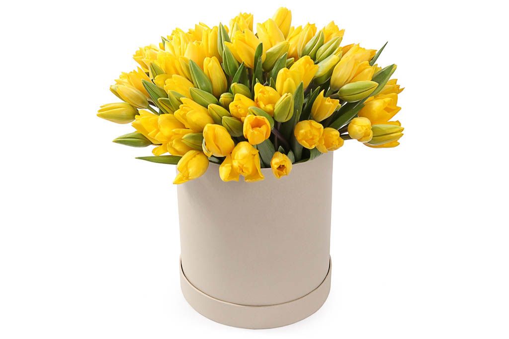 Букет 101 тюльпан в коробке, желтые от СоюзЦветТорг