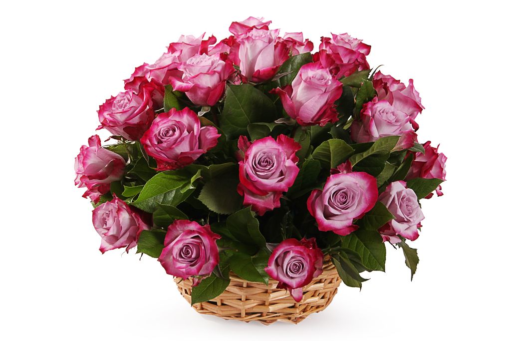 Букет 35 роз Дип Перпл в корзине от СоюзЦветТорг