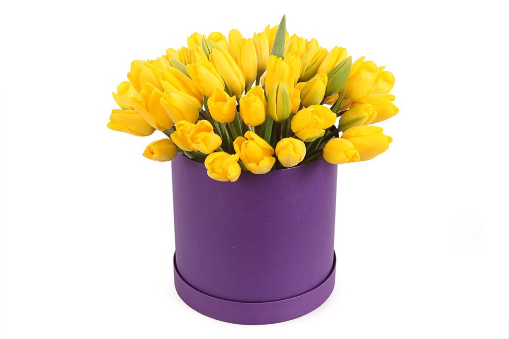 Букет 51 тюльпан в коробке, желтые от СоюзЦветТорг