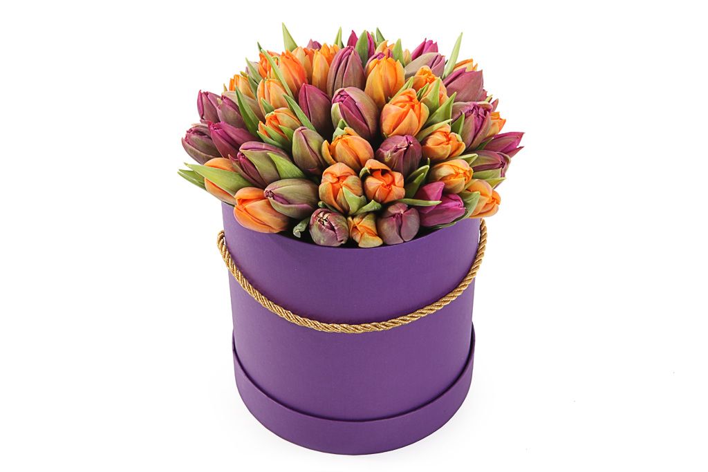 Букет 51 королевский тюльпан в коробке, оранжево-пурпурный микс от СоюзЦветТорг