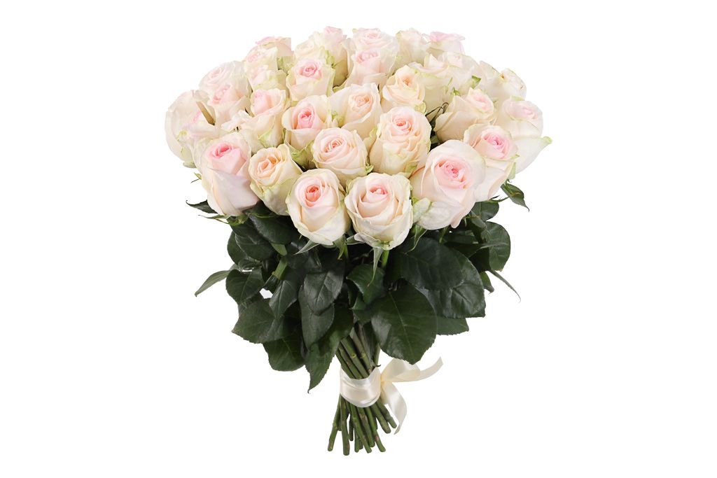 Букет 31 роза Сеньорита от СоюзЦветТорг