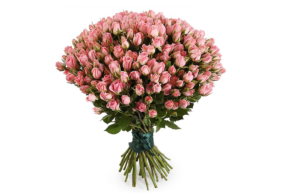 

Букет 35 кустовых роз Одилия