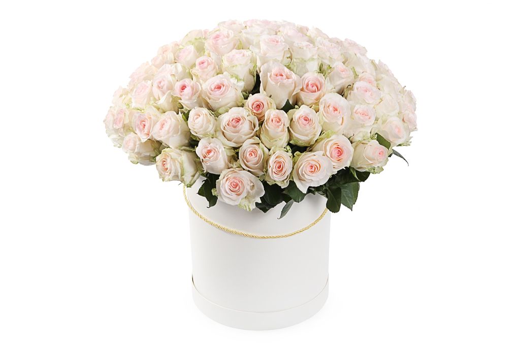 Букет 101 роза Сеньорита в шляпной коробке от СоюзЦветТорг