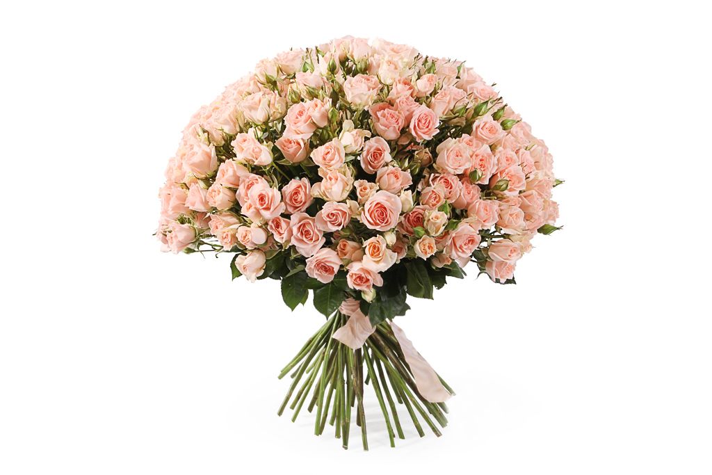 Букет 50 кустовых роз Свит Сара от СоюзЦветТорг