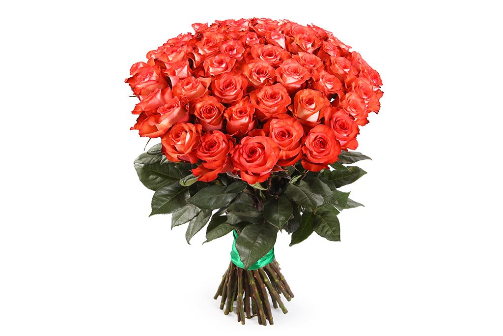 Букет 51 роза Игуана, коралловая от СоюзЦветТорг