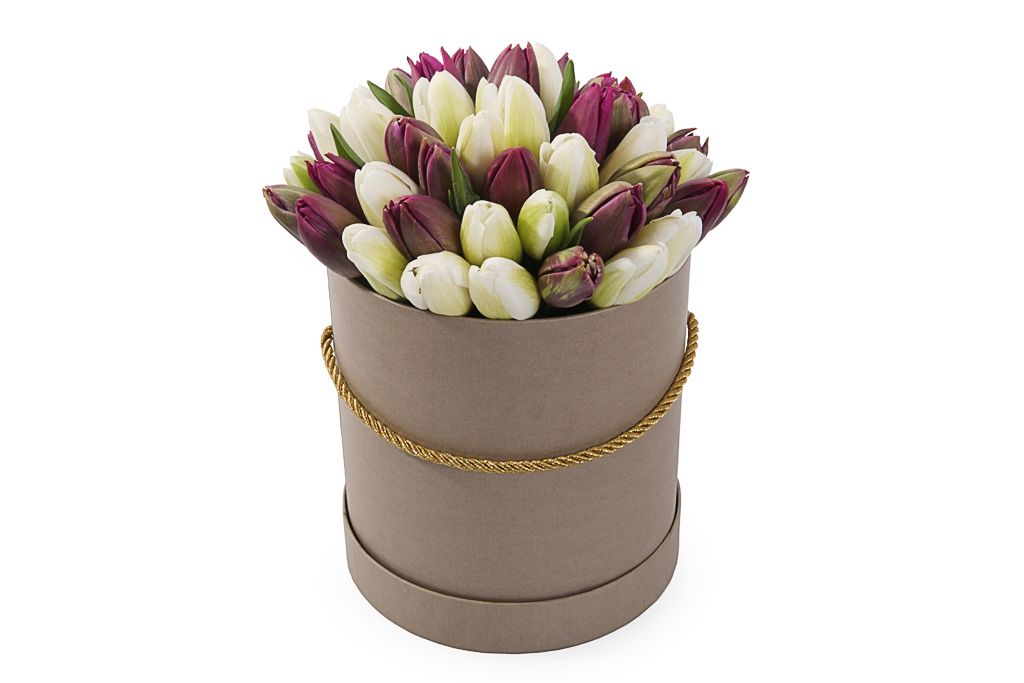 Букет 51 королевский тюльпан в коричневой коробке, бело-пурпурный микс от СоюзЦветТорг