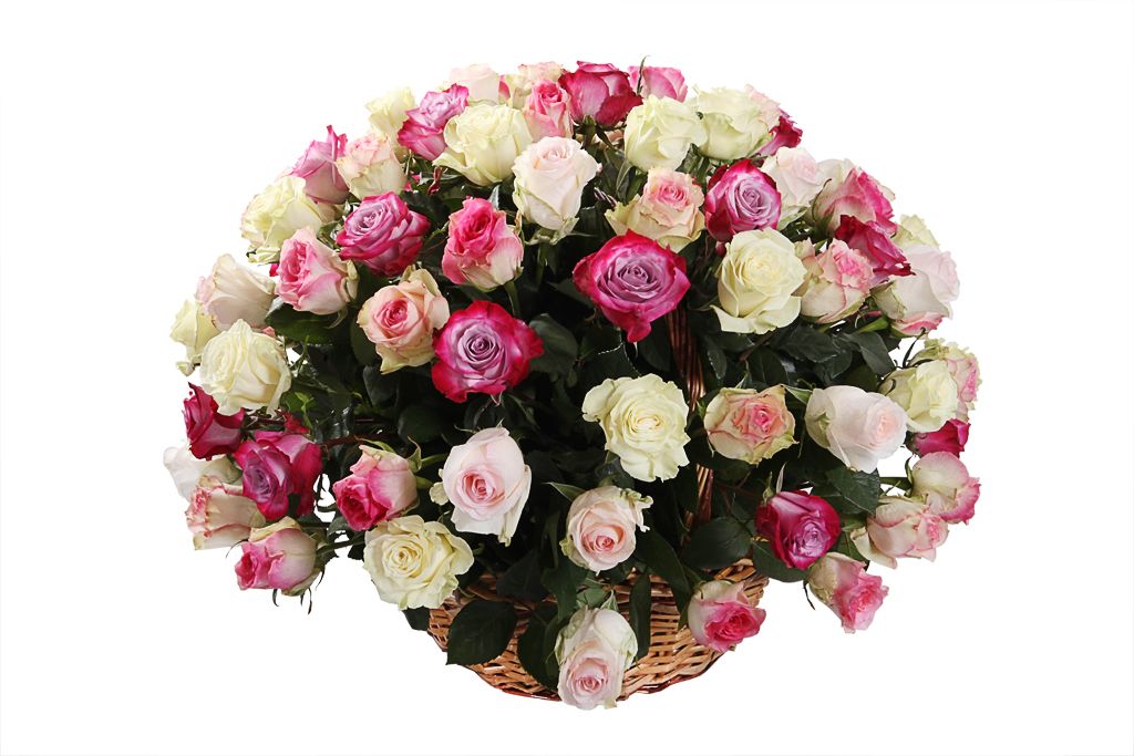 Букет Кроткий румянец (101 роза в корзине) от СоюзЦветТорг