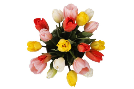 Букет 25 королевских тюльпанов в коробке, микс Букет 25 королевских тюльпанов в коробке, микс