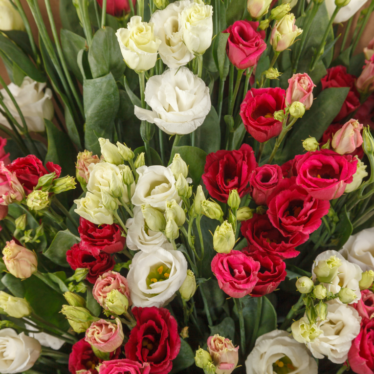 Букет из эустомы Мираж (медиум) Букет из эустомы Мираж (медиум)