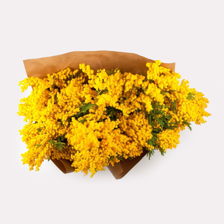 Букет мимозы Теплые объятия (миди) Букет мимозы Теплые объятия (миди)