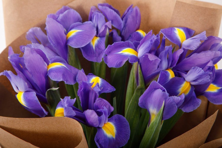 Букет Ирисовый аромат (мини)