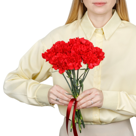 Букет Красный октябрь (10 гвоздик) Букет Красный октябрь (10 гвоздик)