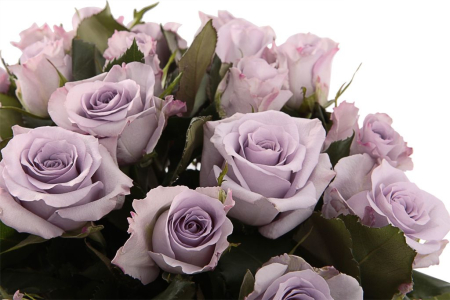 Букет Песнь Океана (35 роз) Букет Песнь Океана (35 роз)