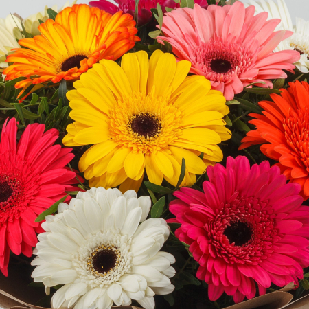 Букет из 11 гербер Акварель Букет из 11 гербер Акварель