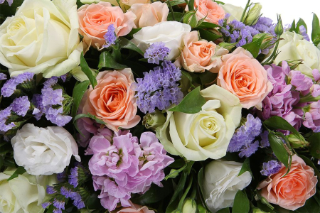 Композиция Делия Композиция Делия