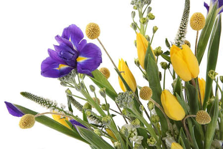 Букет В весеннем парке в кашпо Букет В весеннем парке в кашпо