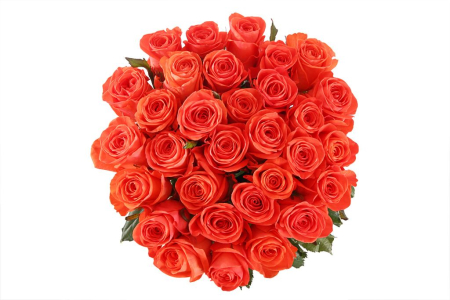 Букет 31 роза Вау Букет 31 роза Вау