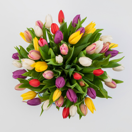 Букет 51 тюльпан в голубой коробке Нежные объятия Букет 51 тюльпан в голубой коробке Нежные объятия