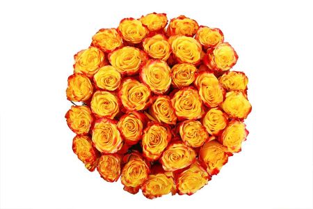 Букет 35 роз Хай Еллоу Букет 35 роз Хай Еллоу