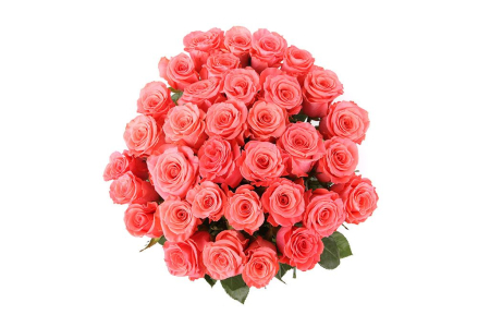 Букет 35 роз Амстердам Букет 35 роз Амстердам